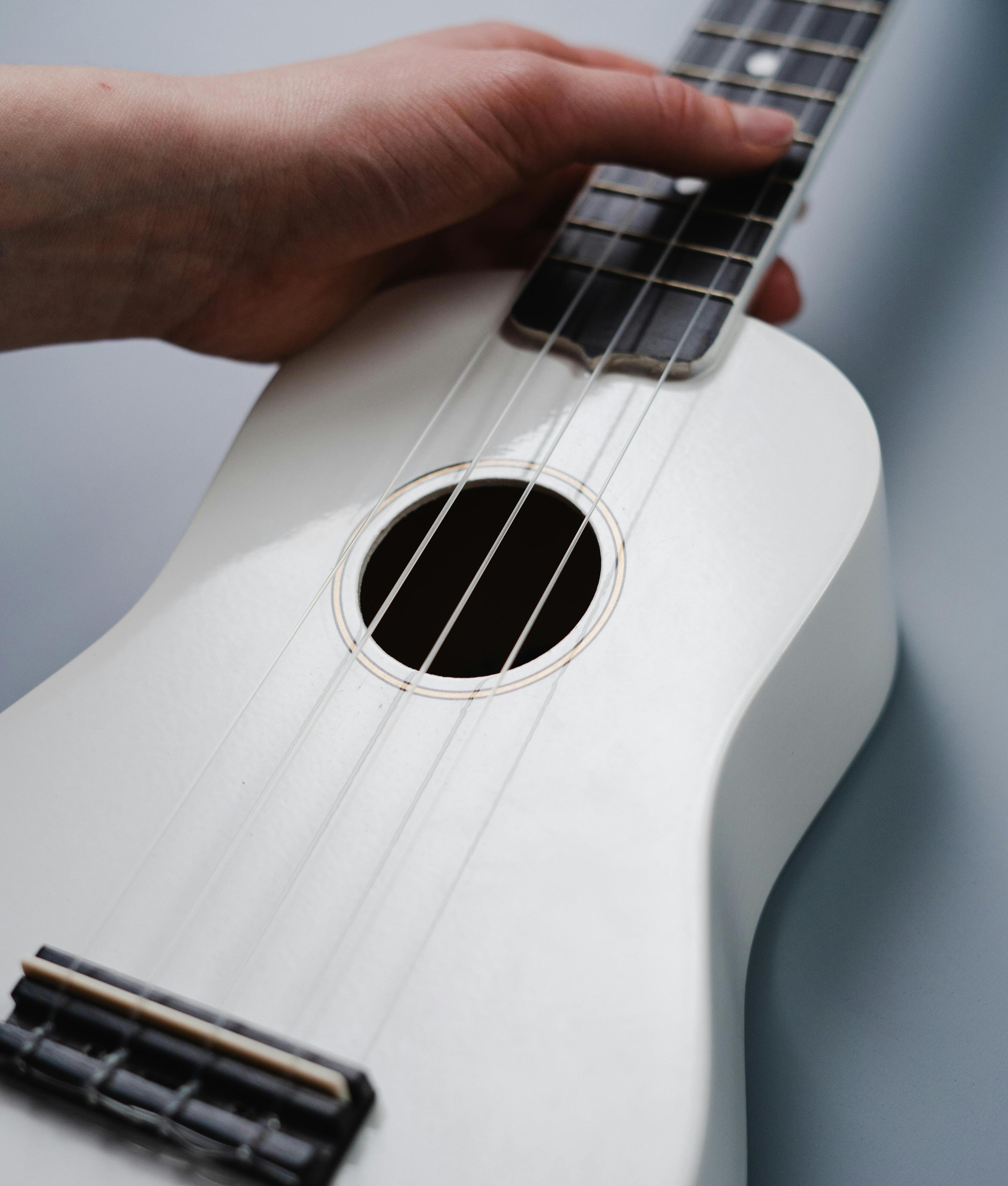 Ukulele 101