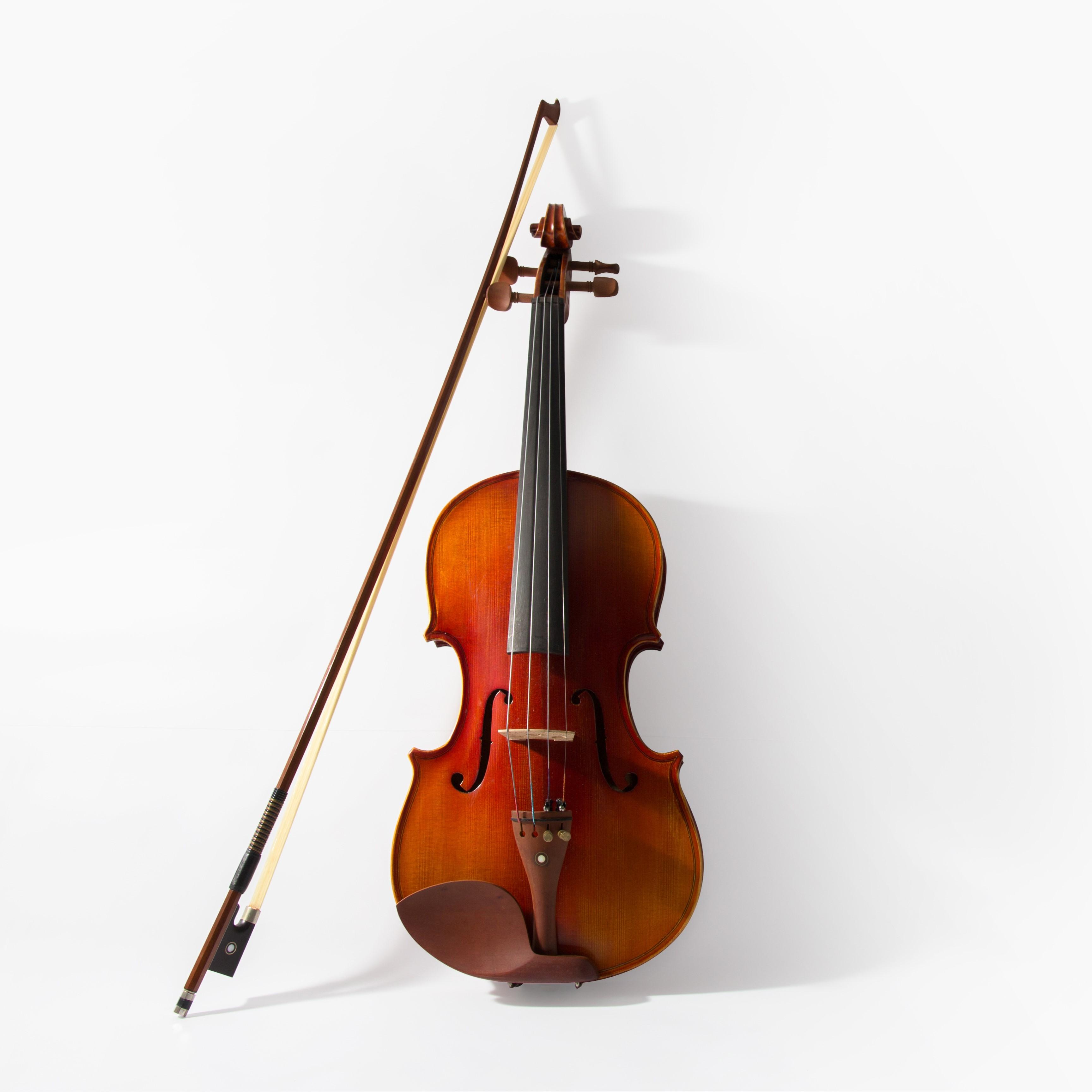 Carnatic Violin 101