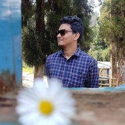 Teacher profile